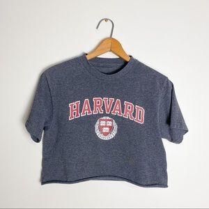 Harvard Vintage Crop Top Gray Small Tee